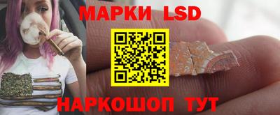 PSILOCYBIN Обнинск